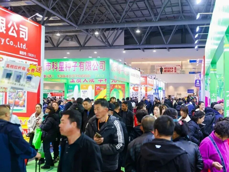 2026������ҵ�������߶�����ʳ���ײ�ҵ��