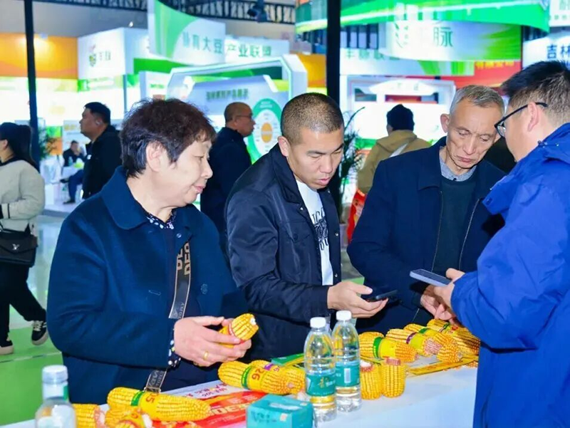 2026������ҵ�������߶�����ʳ���ײ�ҵ��