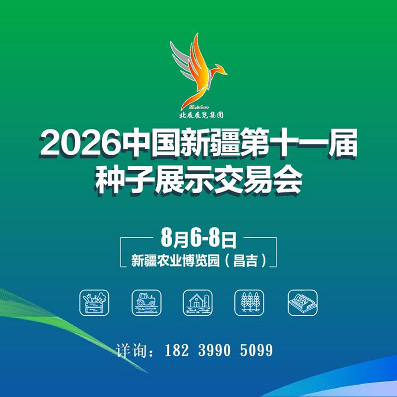 2026�й��½���ʮһ������չʾ���׻�